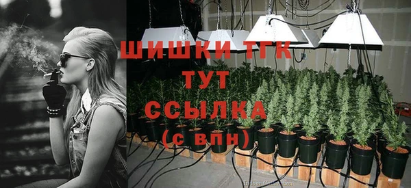 крисы Нея