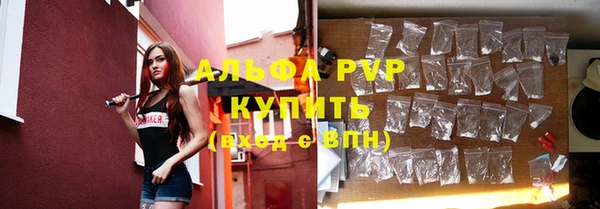 крисы Нея